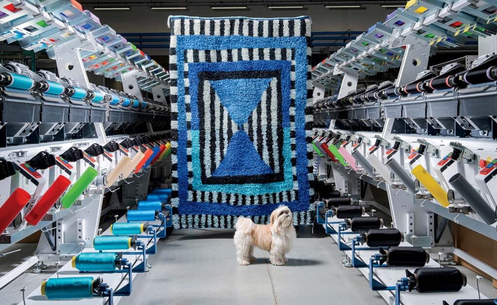 A dog standing in front of a machine.