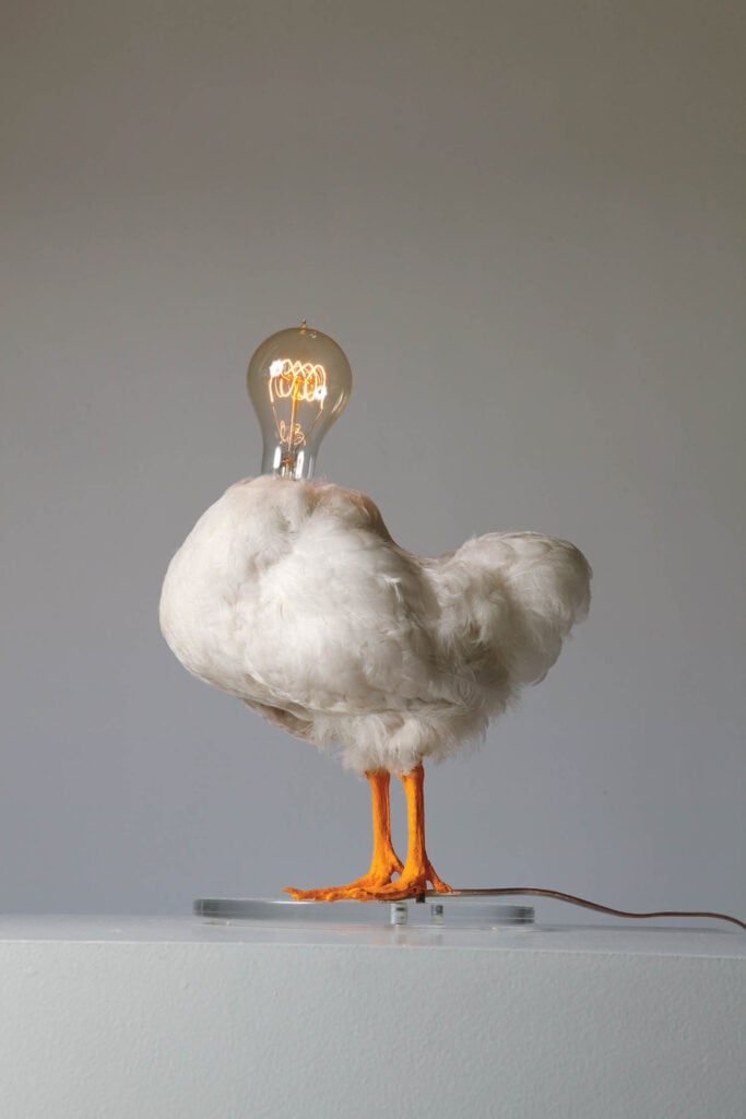 duck with lightbulb for head