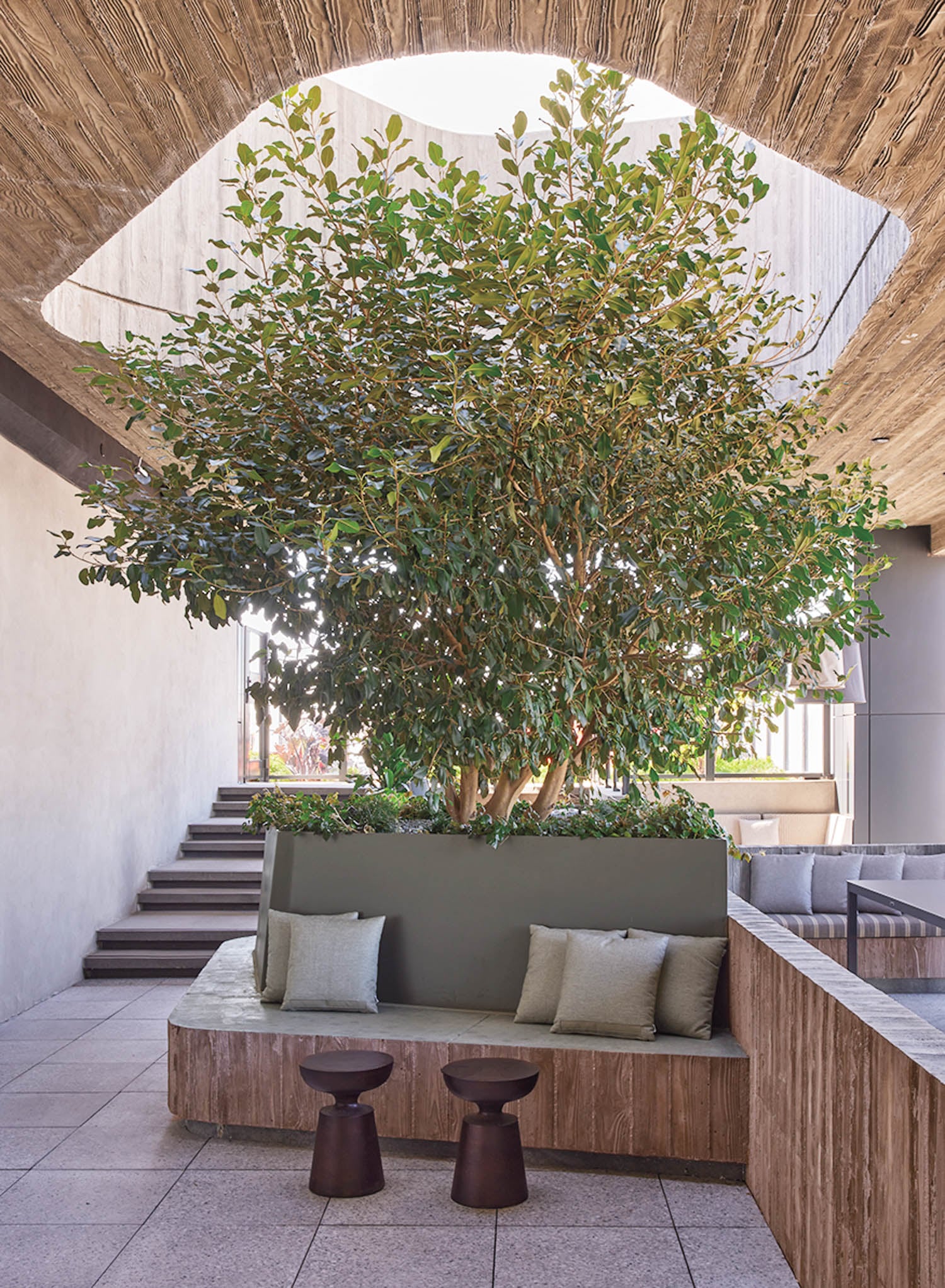 a tree growing near seating