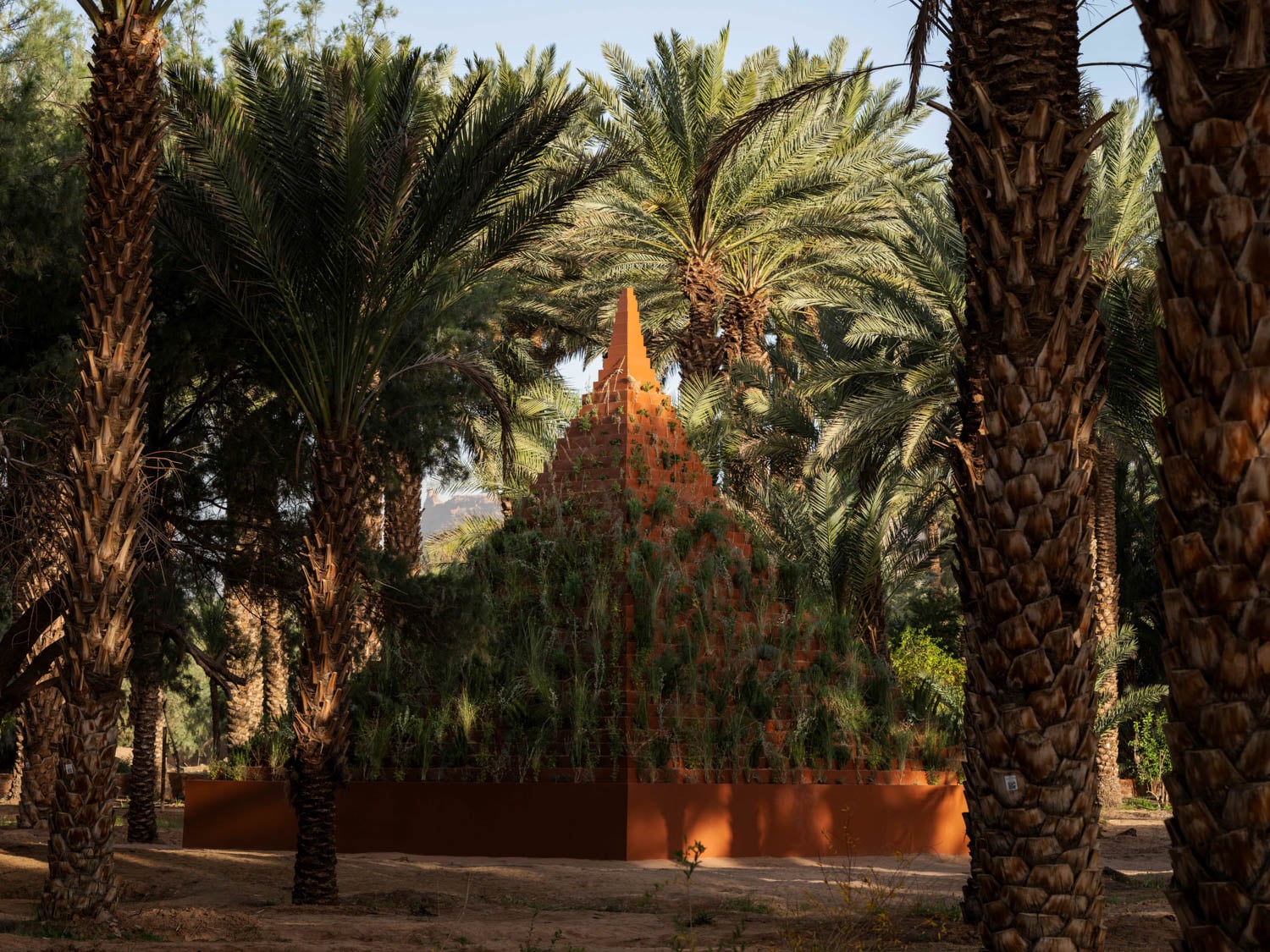 pyramid in the middle of the forest