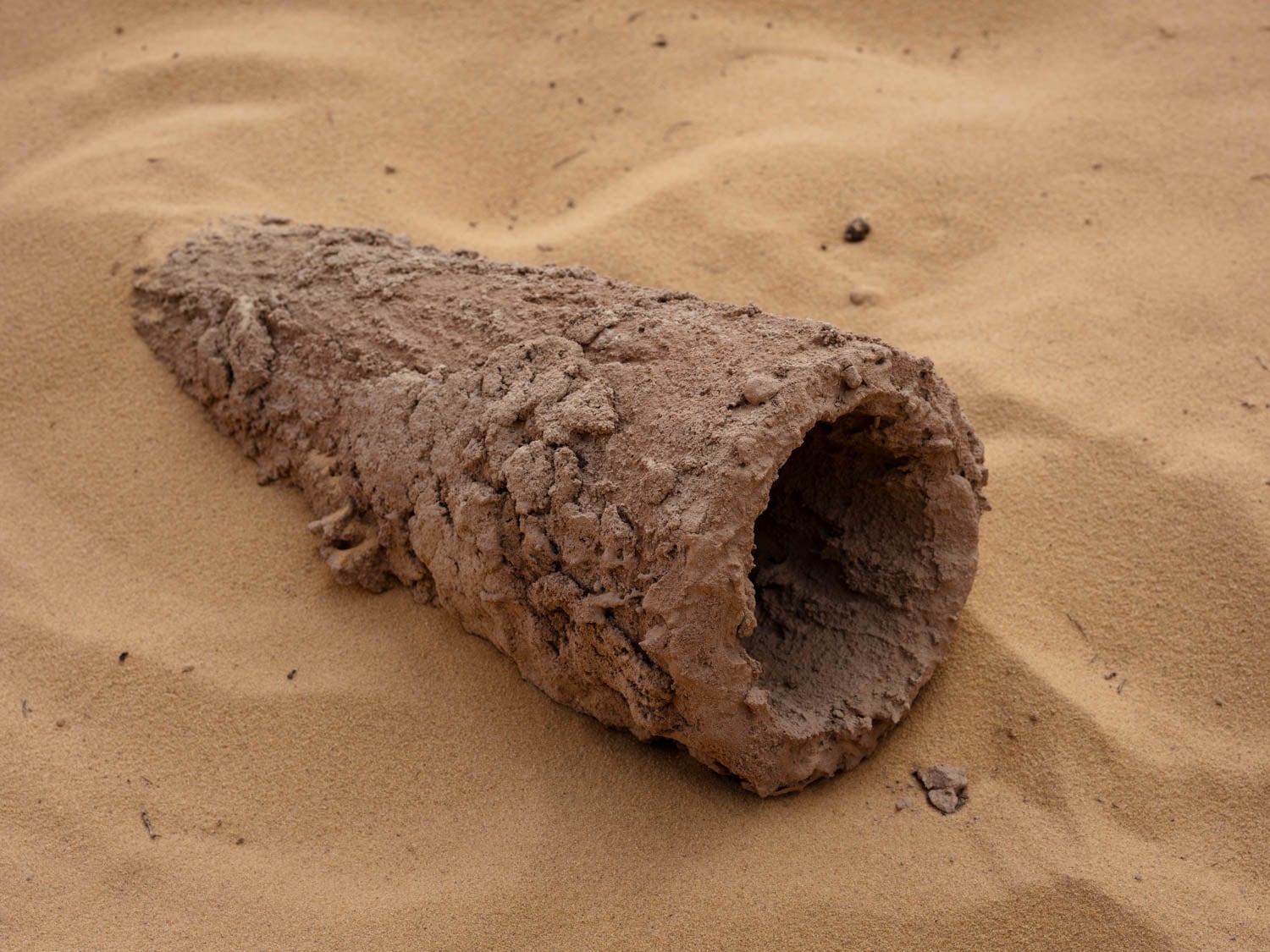 closeup of tube on sand